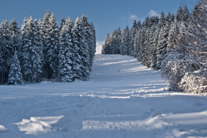 schwarzermann-02265klp5sqe.png