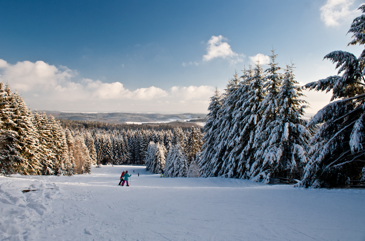 schwarzermann-02266gul96.jpg