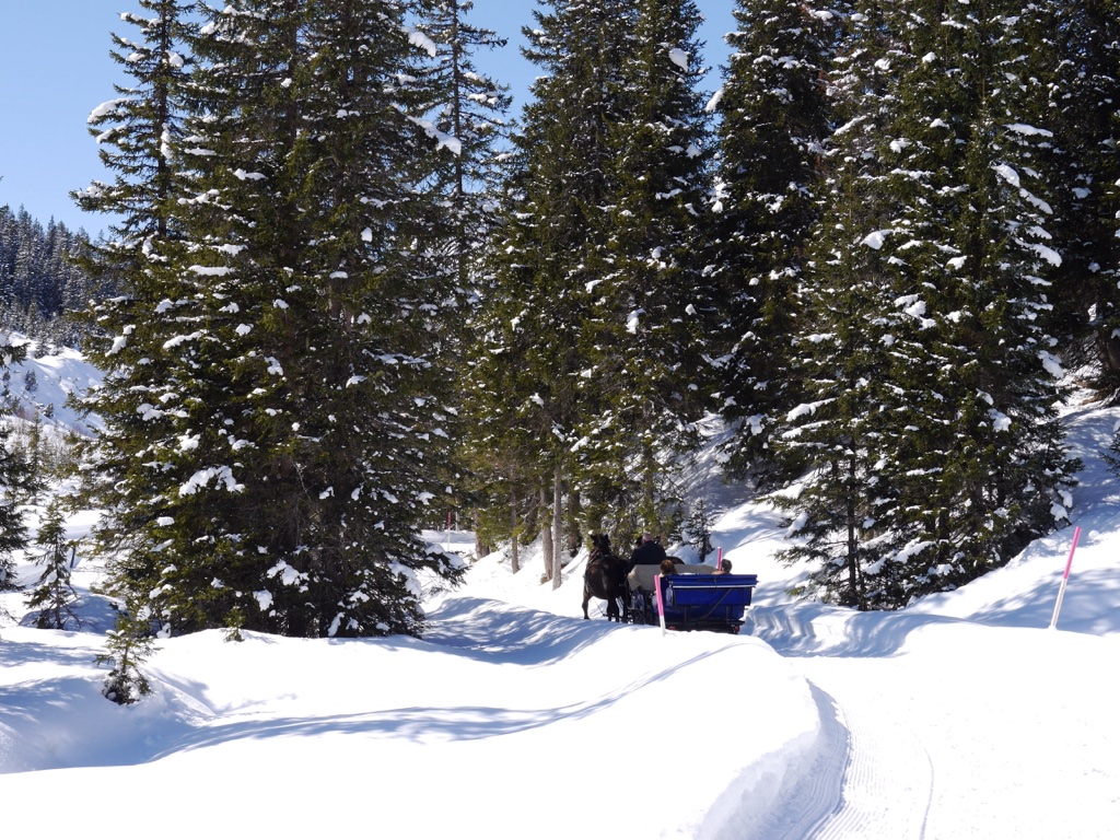 mobile.6qeykn.jpg