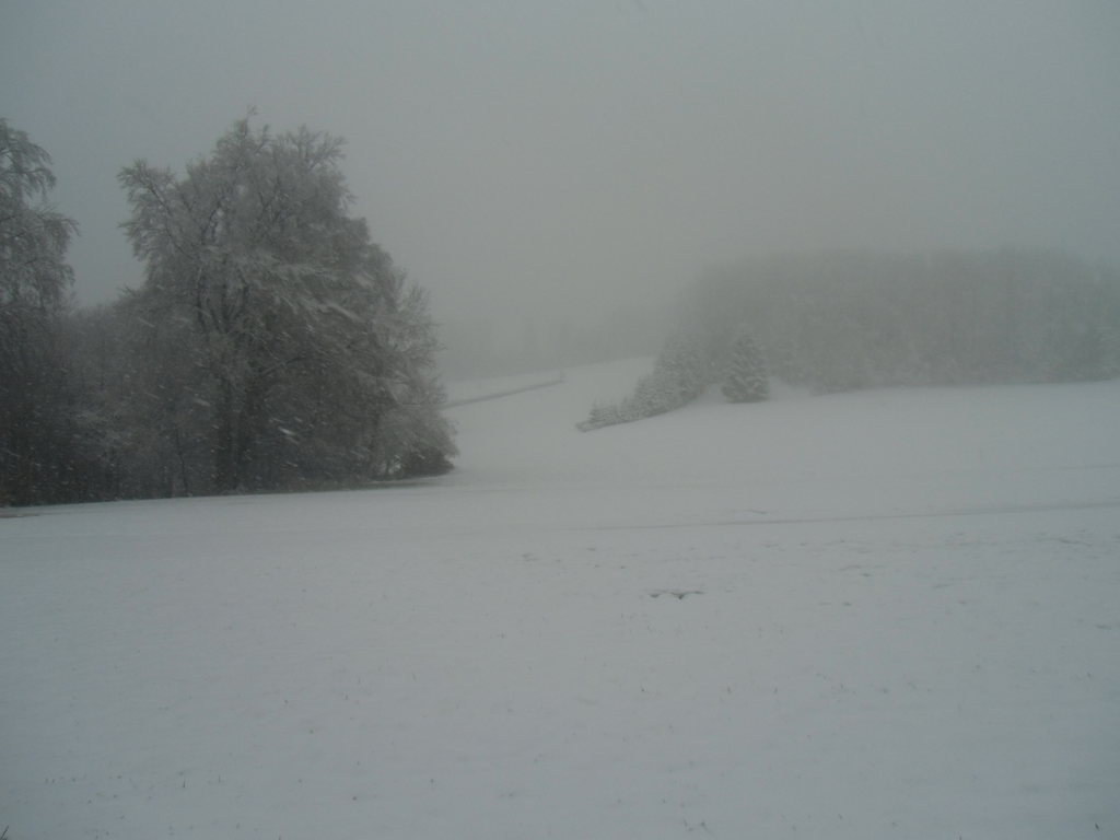 cimg1758m2kow.jpg