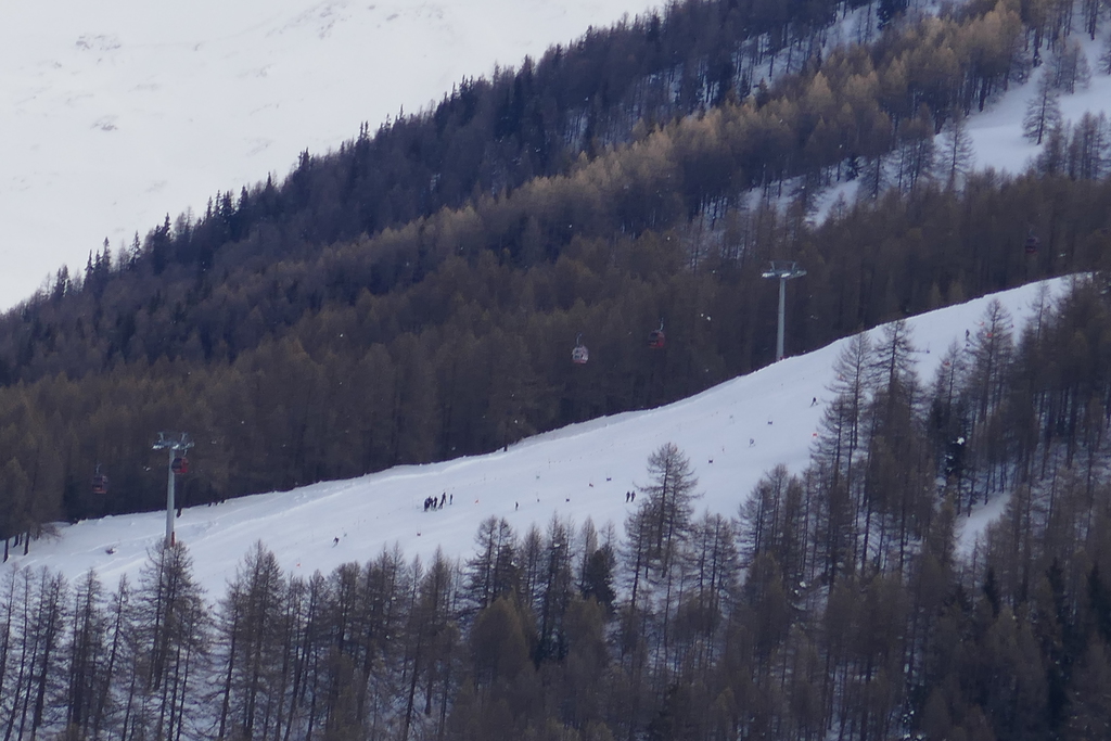 p1010267rjo9n.jpg