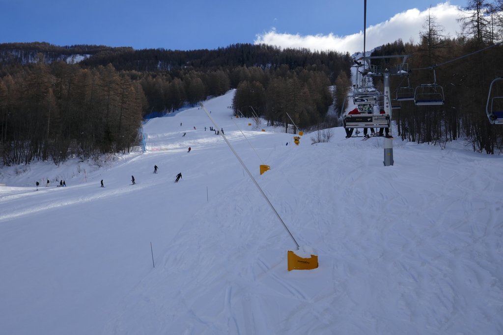 p1010310elj9m.jpg