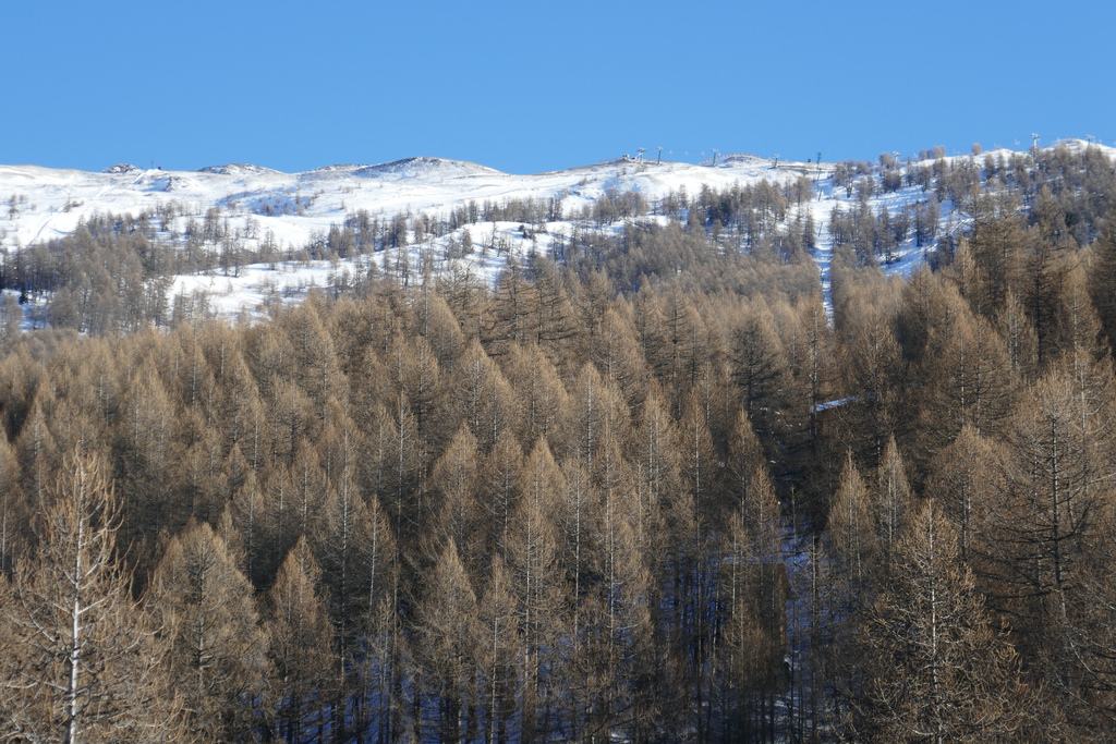 p1010337ugsor.jpg