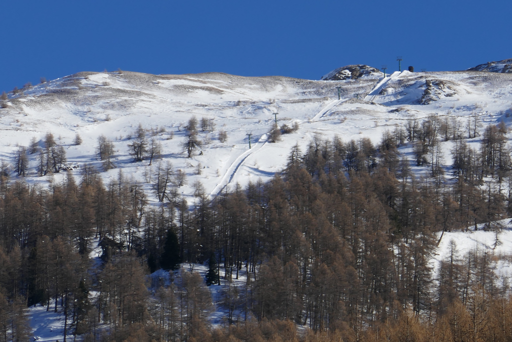 p1010339quszd.jpg