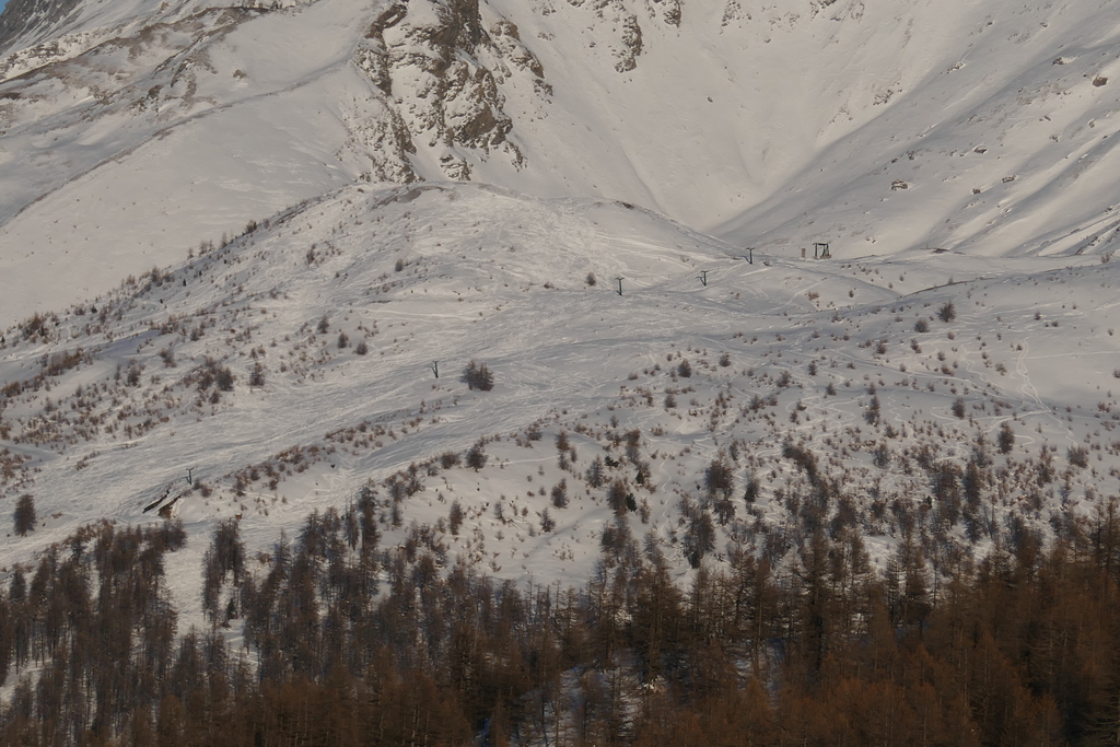 p1010367pkpkf.jpg