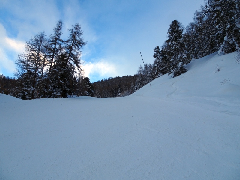 28tmsp5.jpg