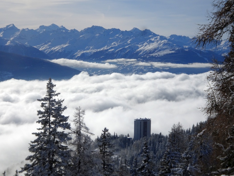 41blickzumsupercrans00ok40.jpg