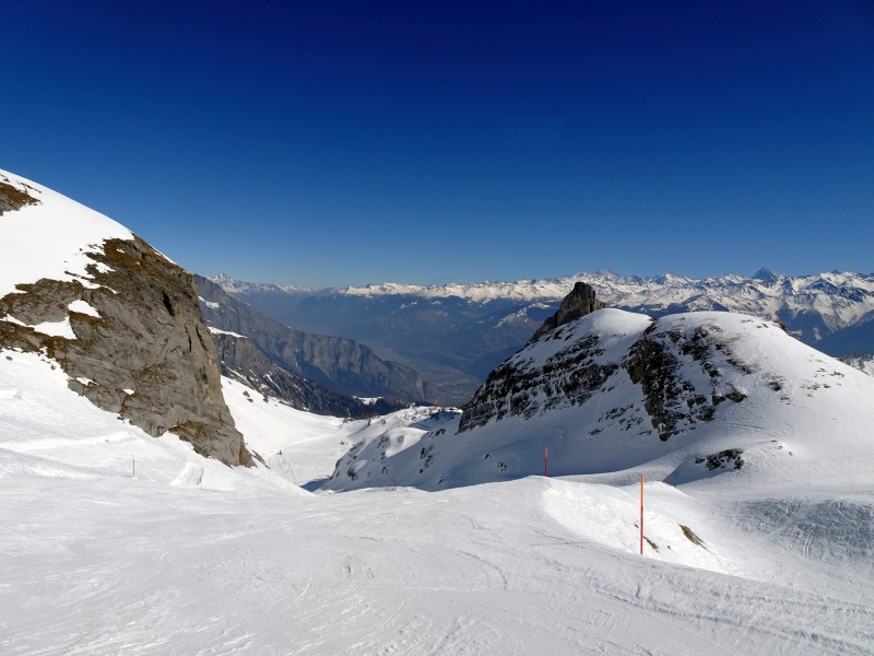 dsc00013dxjf3.jpg