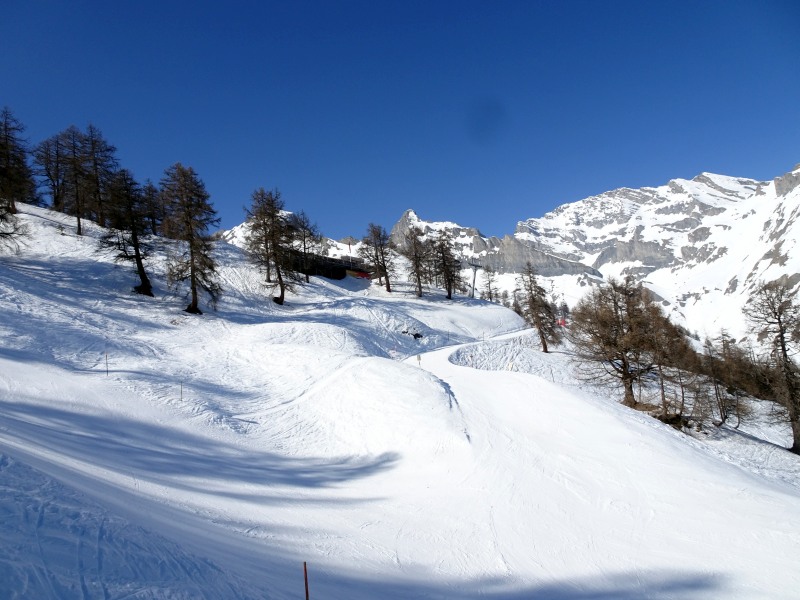 dsc000723xkf1.jpg