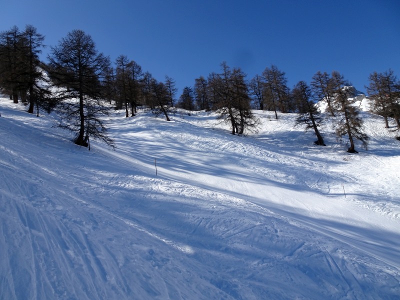 dsc000737ojfp.jpg