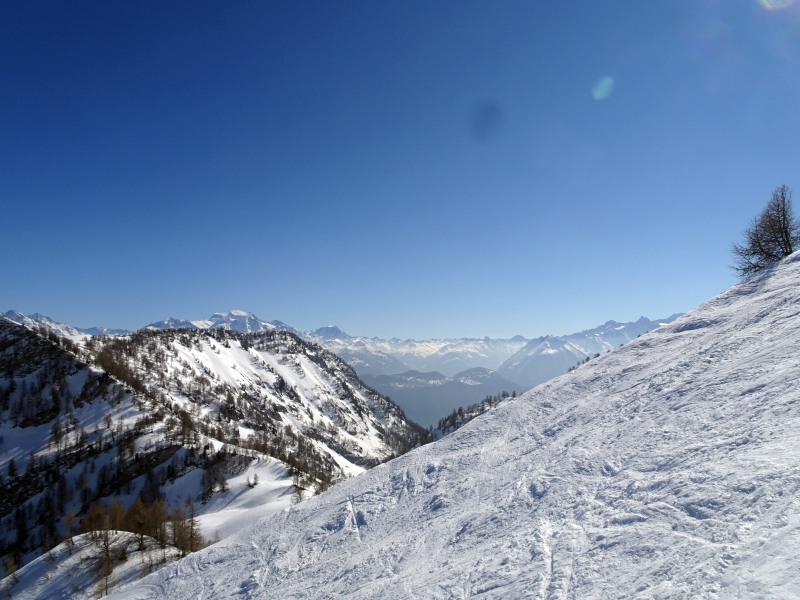 dsc00096l8ktu.jpg