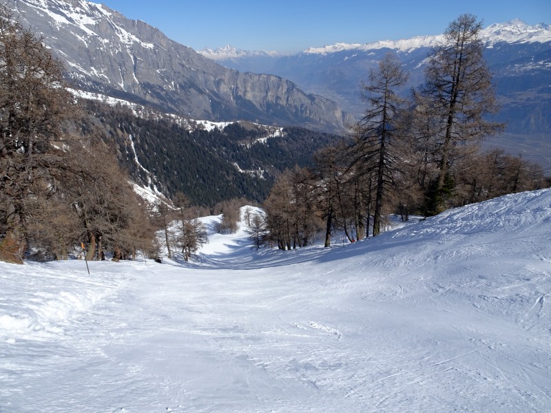 dsc00108zqjbi.jpg