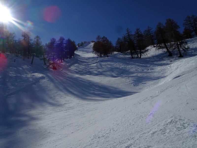 dsc00110bxj1h.jpg