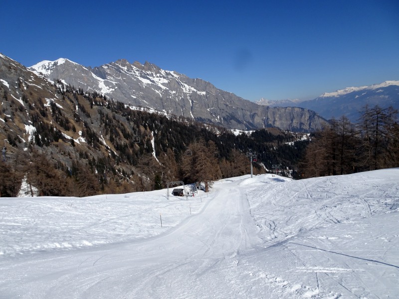 dsc00117mgjf1.jpg