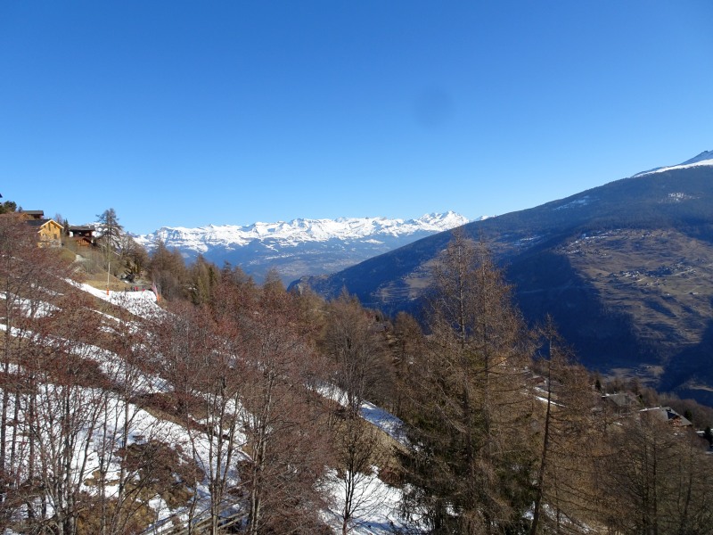 dsc00234qxkbx.jpg