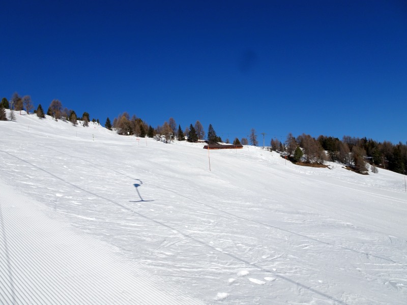 dsc00266tckoe.jpg