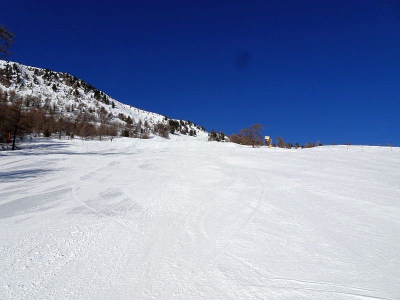 dsc00283omjrn.jpg