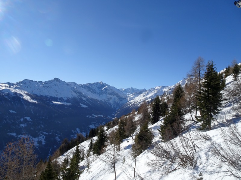 dsc00300skj3z.jpg