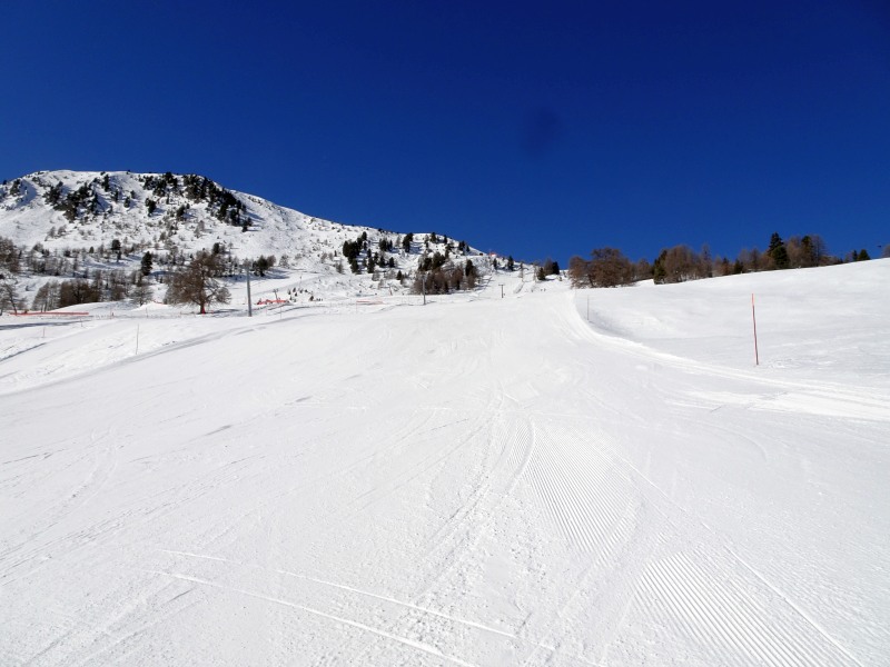 dsc00407wrkqf.jpg
