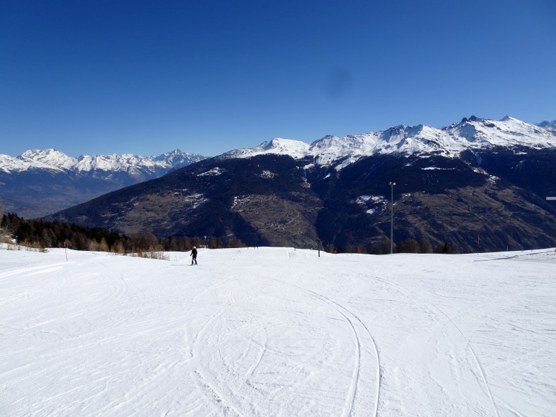 dsc00468x3k1a.jpg