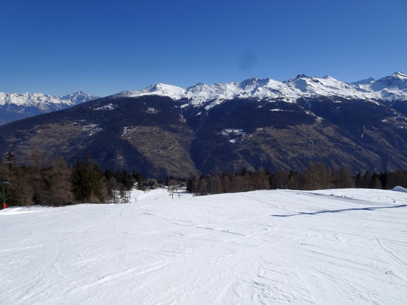 dsc0047205k1y.jpg