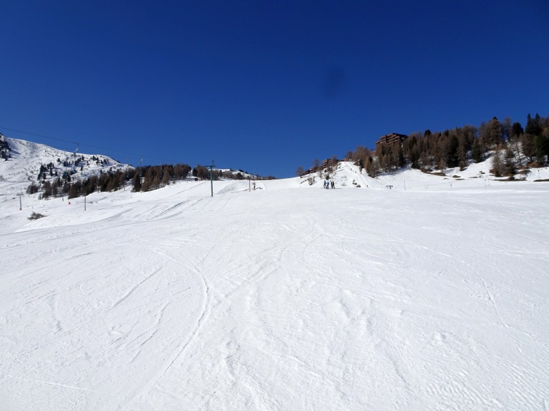 dsc00475qejgc.jpg