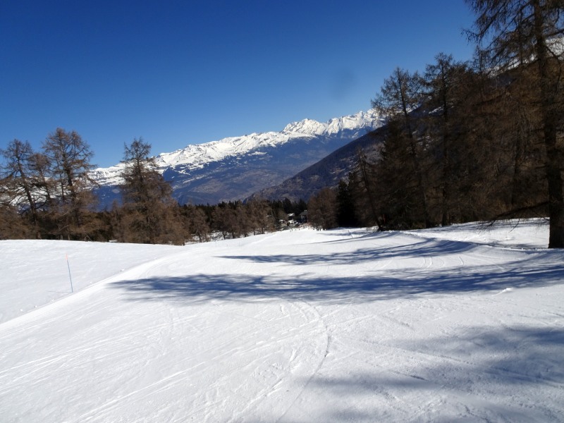 dsc00522vbjl2.jpg
