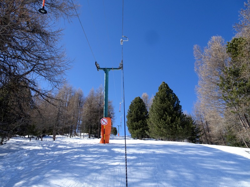 dsc00533eckg8.jpg