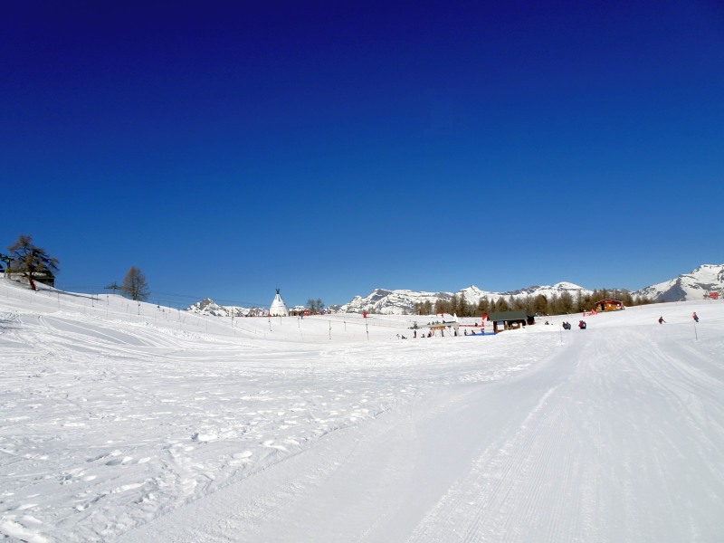 dsc00544yyjx2.jpg