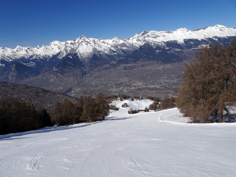 dsc00707uekk4.jpg