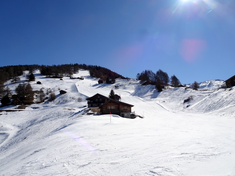 dsc00714svjrk.jpg