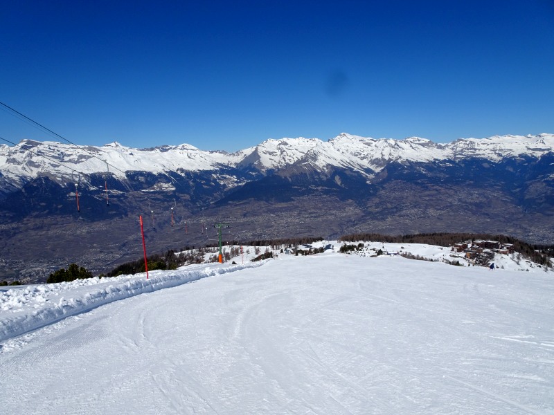 dsc007684rjoy.jpg