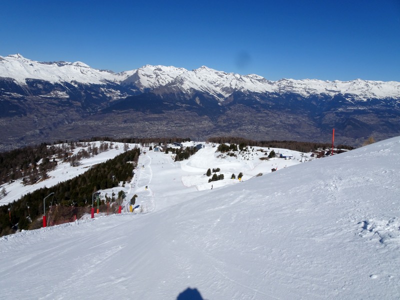 dsc007726wk82.jpg