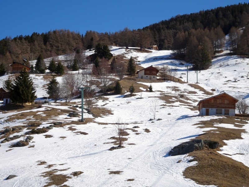 dsc007870yjbt.jpg