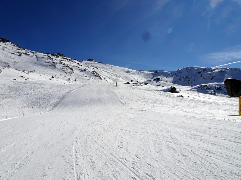 dsc009641yjb8.jpg
