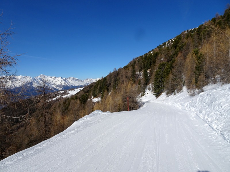 dsc01013qdjk9.jpg