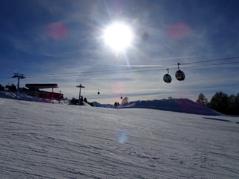 dsc010215yjmi.jpg