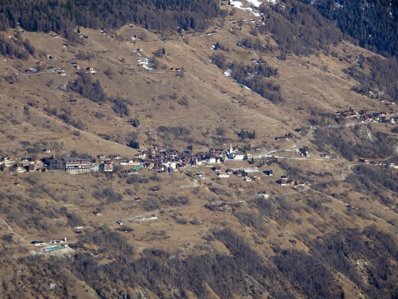 dsc01050bxjsm.jpg