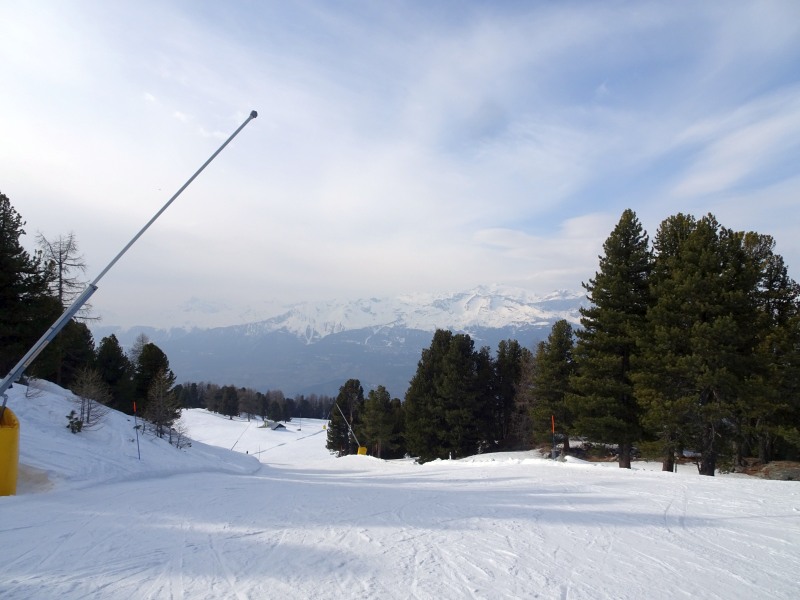 dsc013505xjtt.jpg