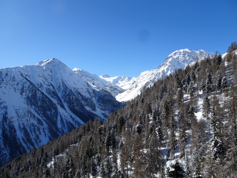 dsc01744s1kvj.jpg