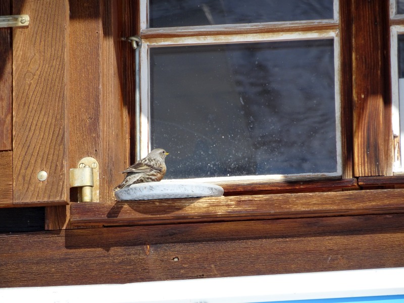 dsc01753r2kcc.jpg