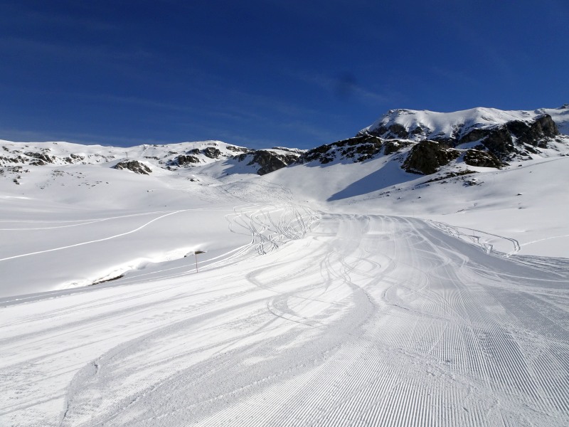 dsc01795bcjid.jpg