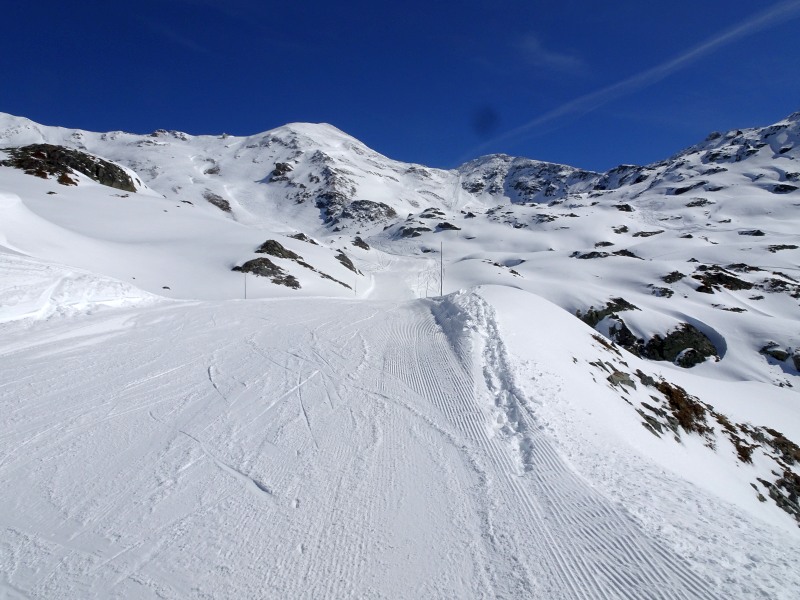 dsc018230tk6h.jpg