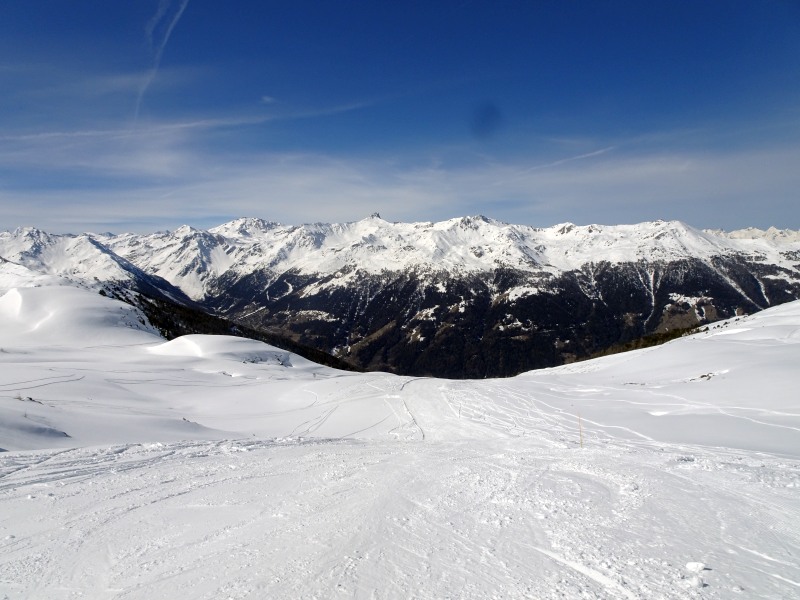 dsc018245djgl.jpg