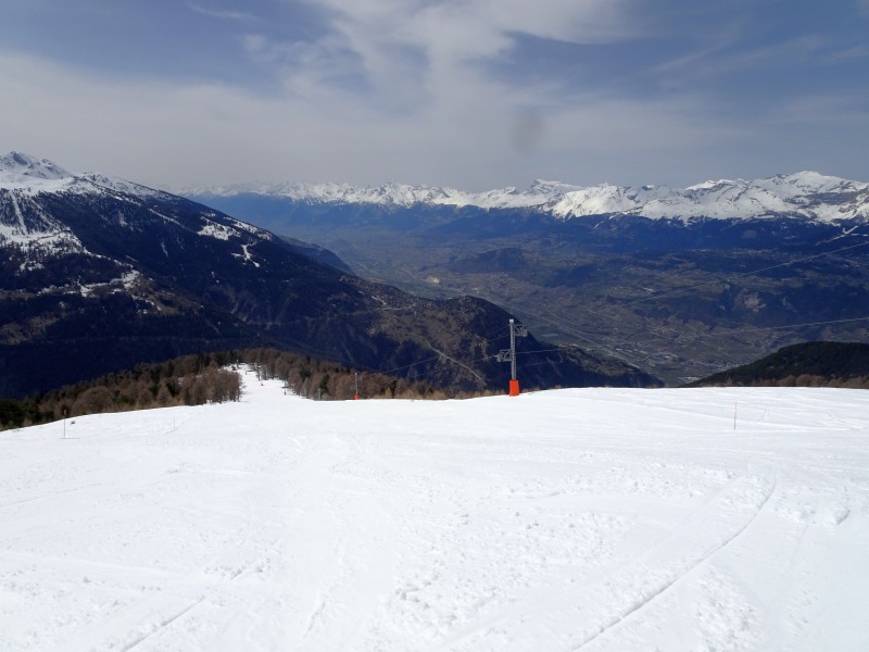 dsc018530tjzt.jpg