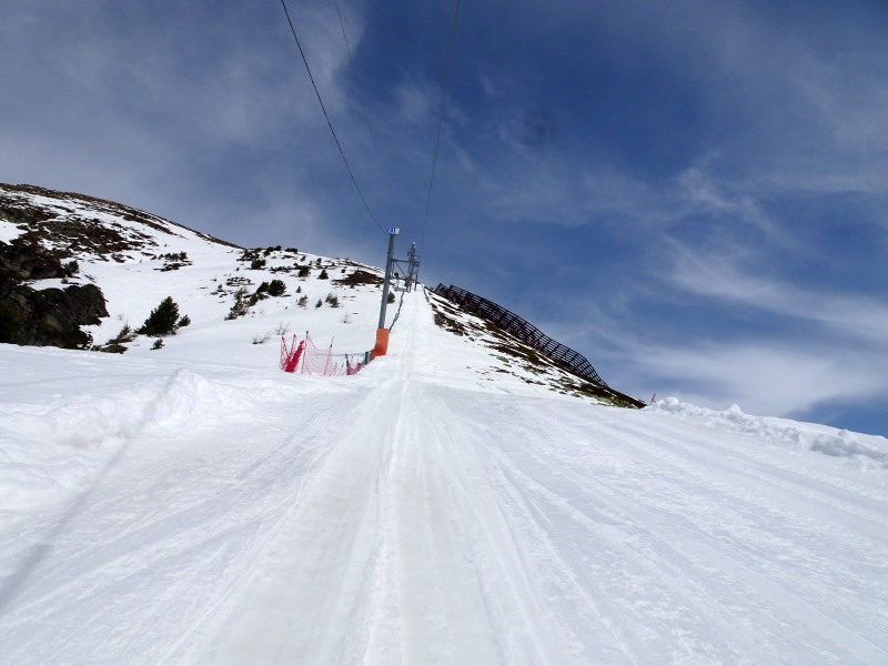 dsc018556ekou.jpg