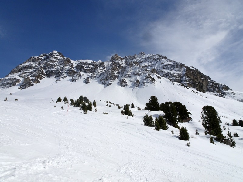 dsc01873uvj8p.jpg
