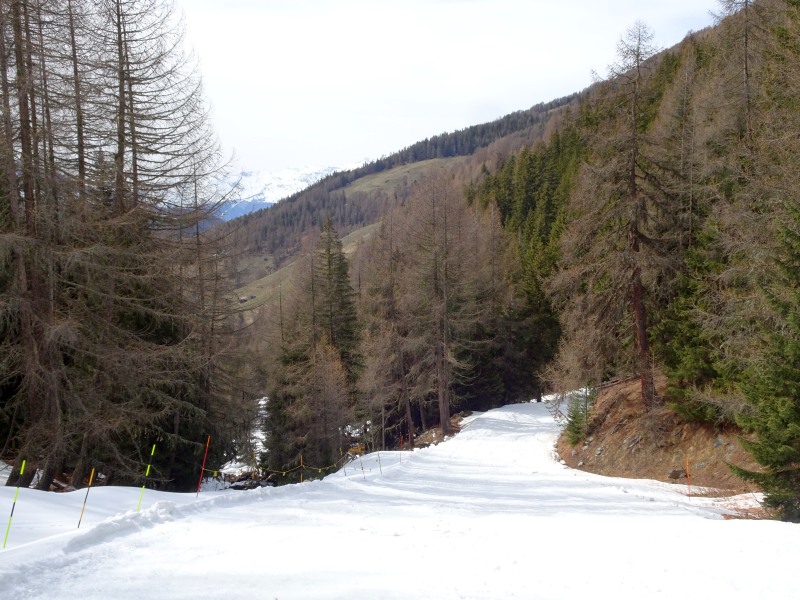 dsc0187420kxx.jpg