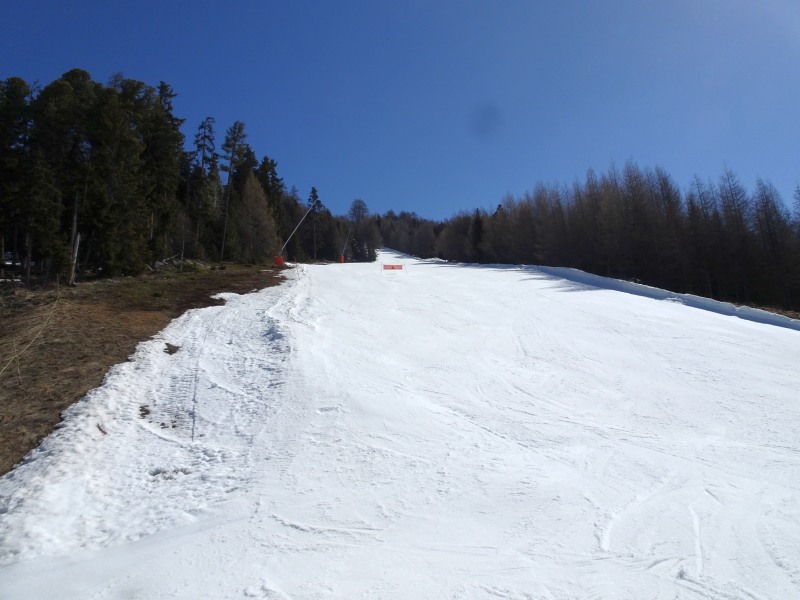 dsc019439xjsv.jpg