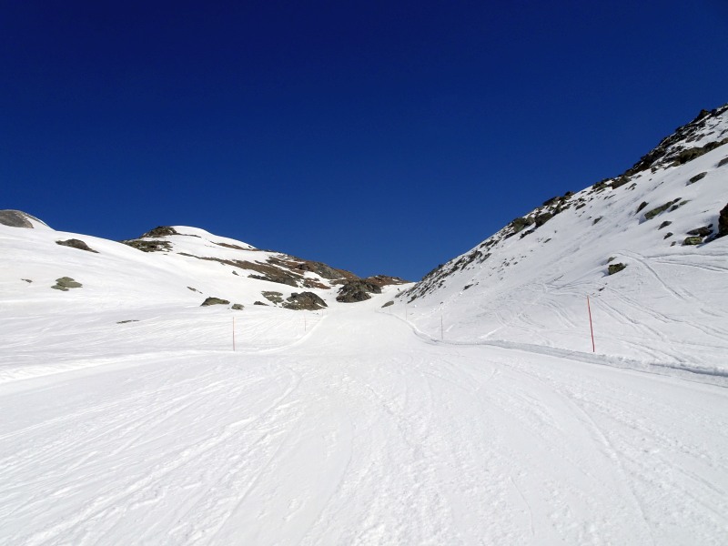 dsc01952n3kq8.jpg